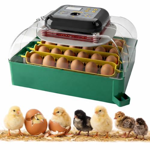 Couveuse Automatique 24 œufs fiable