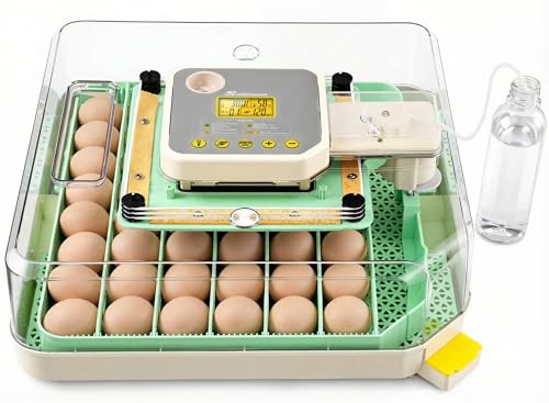 Couveuse Automatique 48 Œufs Verte