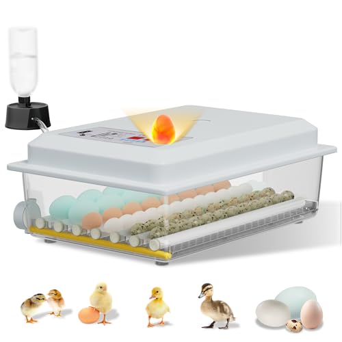 Couveuse Automatique 36 Œufs Pro