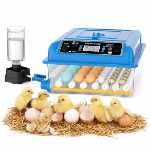 Couveuse à oeuf