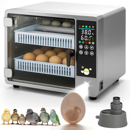 Couveuse à oeuf